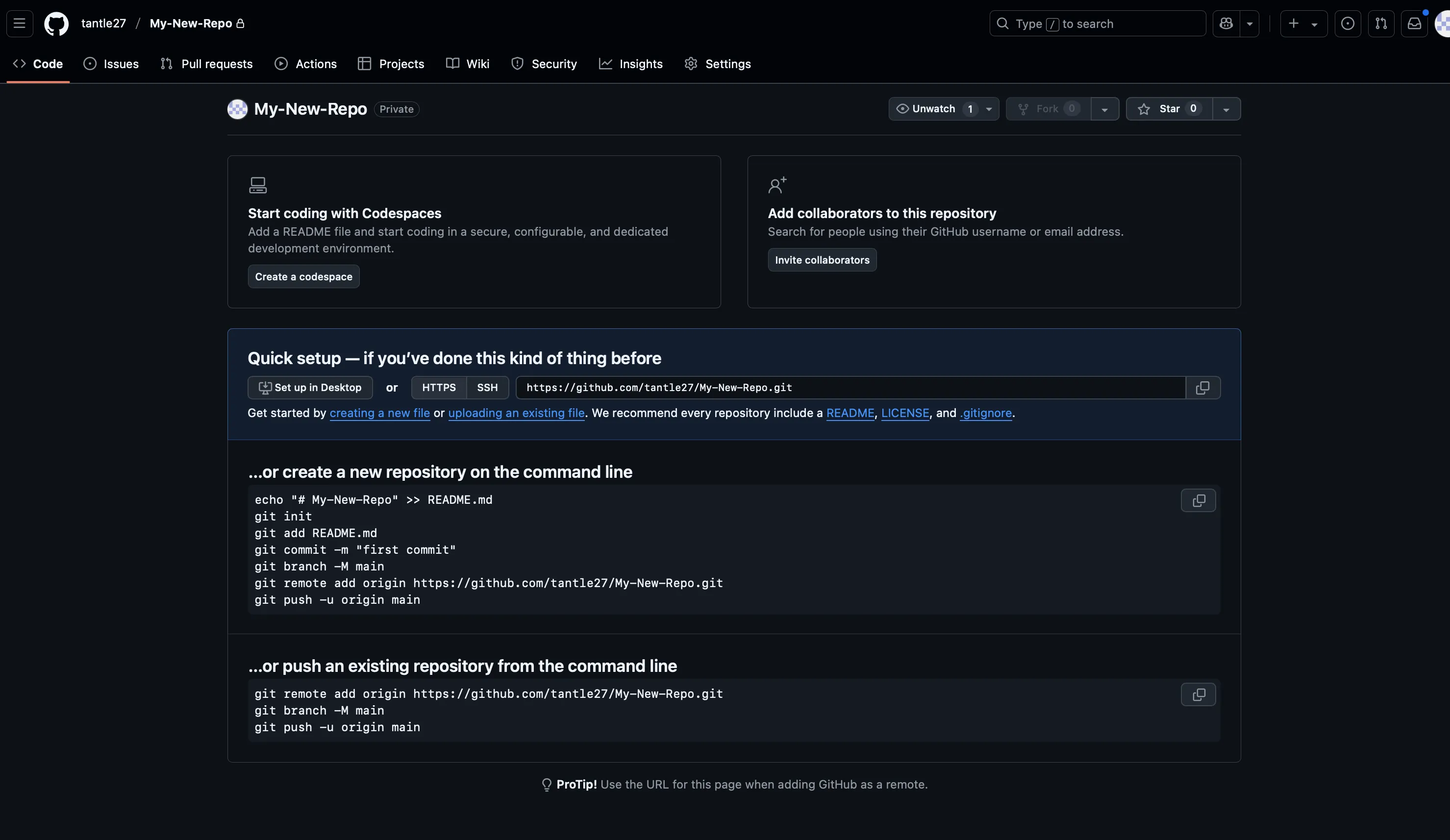 Repository Clone